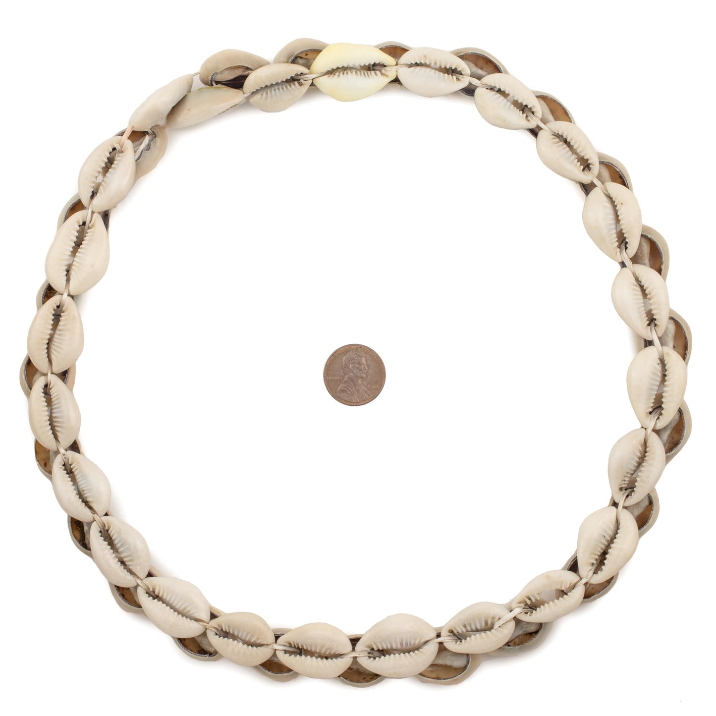 The Bead Chest Kenyan Cowrie Shell Beads 15mm West Africa African White Unusual 22-24 Inch Strand Handmade