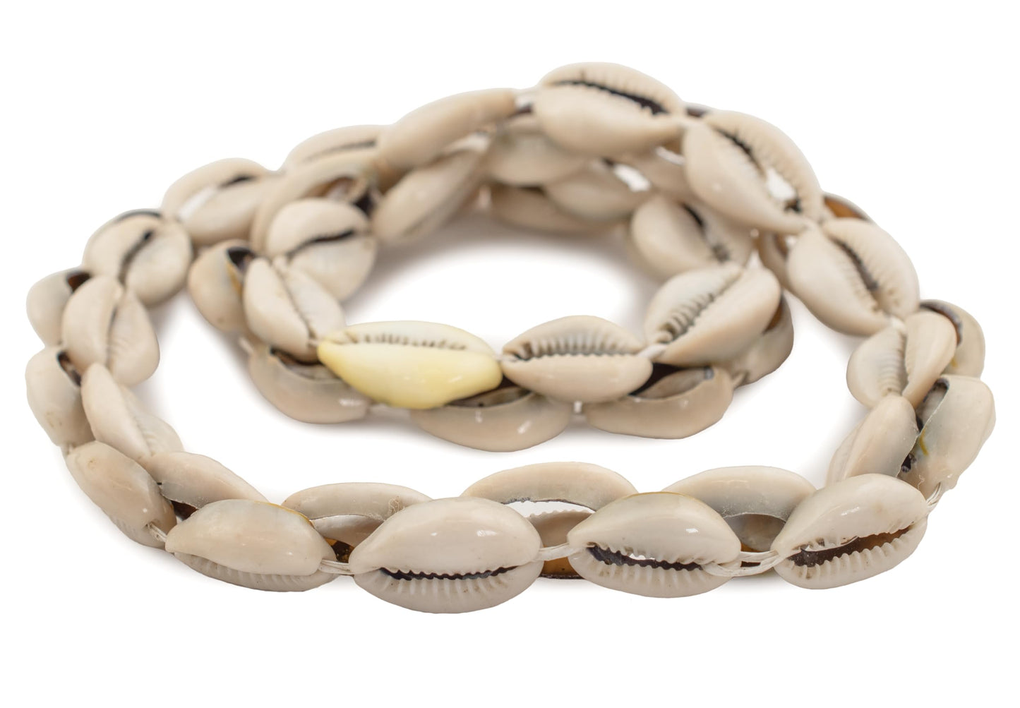 The Bead Chest Kenyan Cowrie Shell Beads 15mm West Africa African White Unusual 22-24 Inch Strand Handmade
