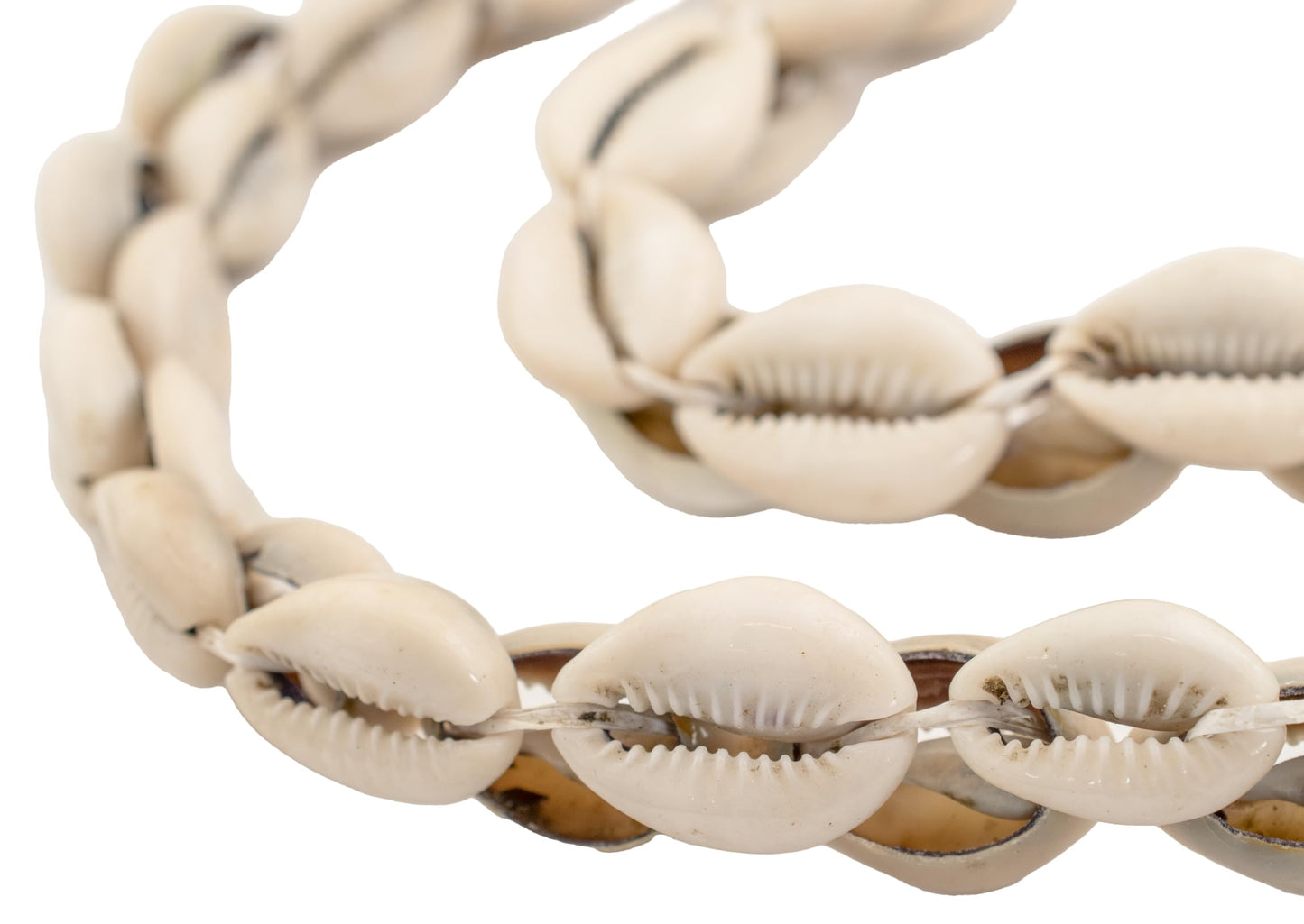The Bead Chest Kenyan Cowrie Shell Beads 15mm West Africa African White Unusual 22-24 Inch Strand Handmade