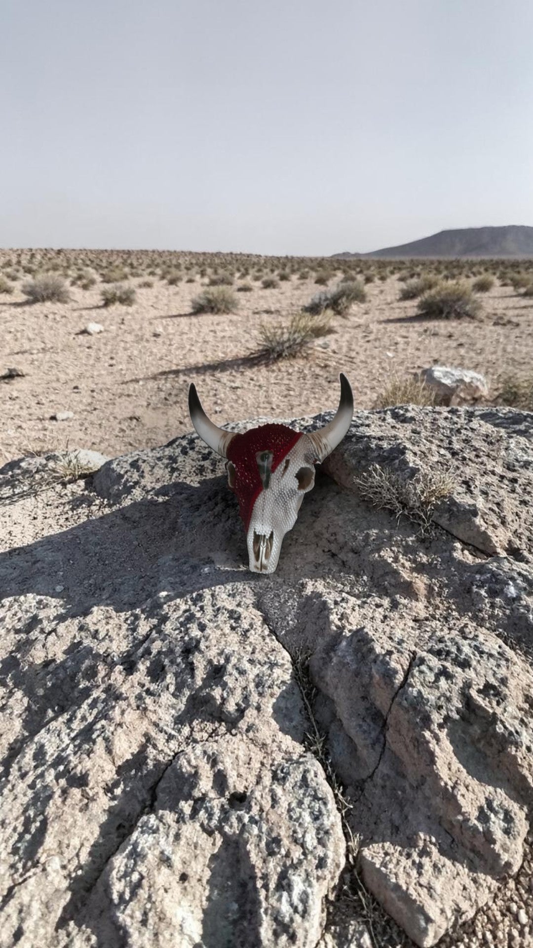 Beaded Cow Skull — Red & Pearl Art Sculpture